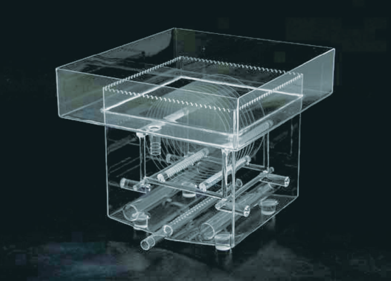 Other (WET、RTP etc)